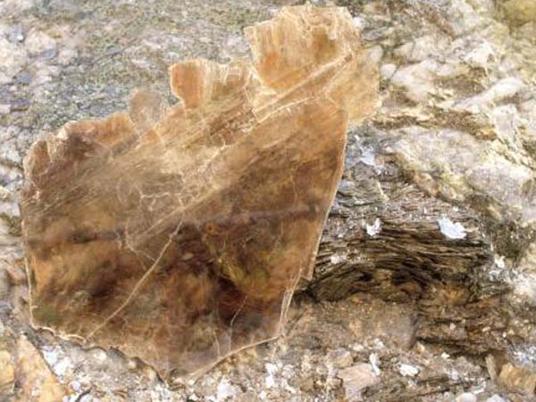 云母含鐵愈高時(shí)，顏色愈深，同時(shí)多色性和吸收性增強(qiáng)